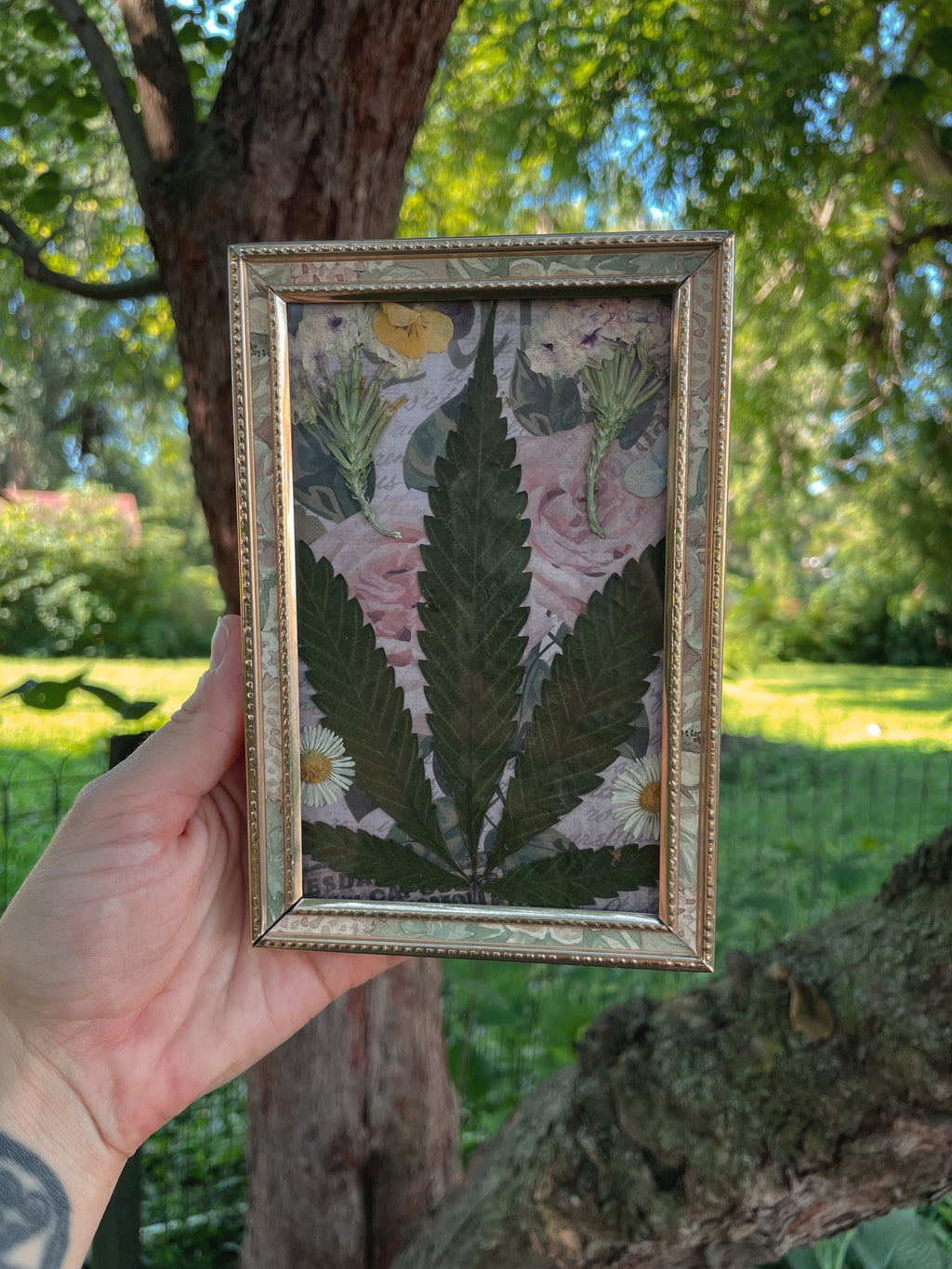 Secret Garden🌸