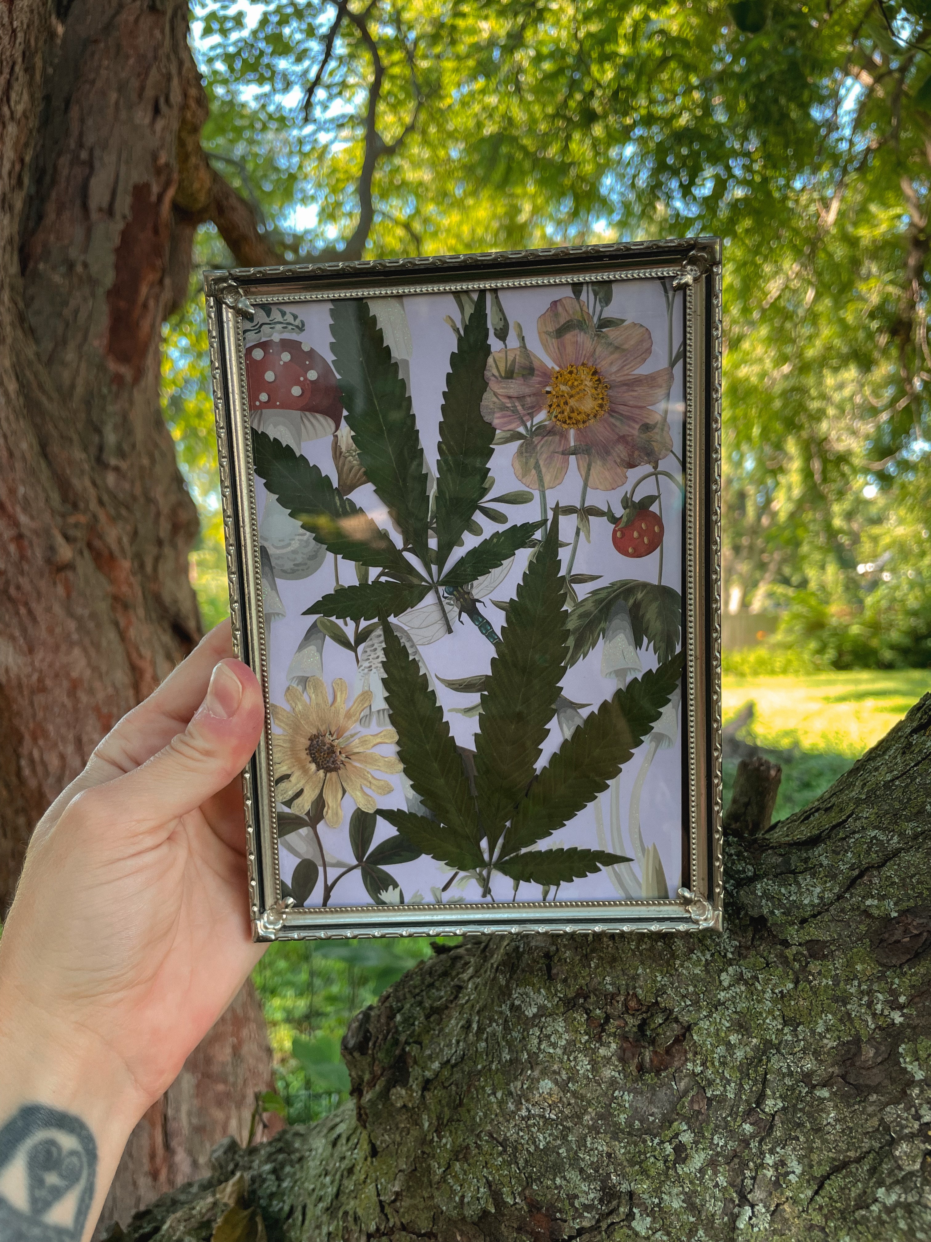 Woodland Whimsy🍄