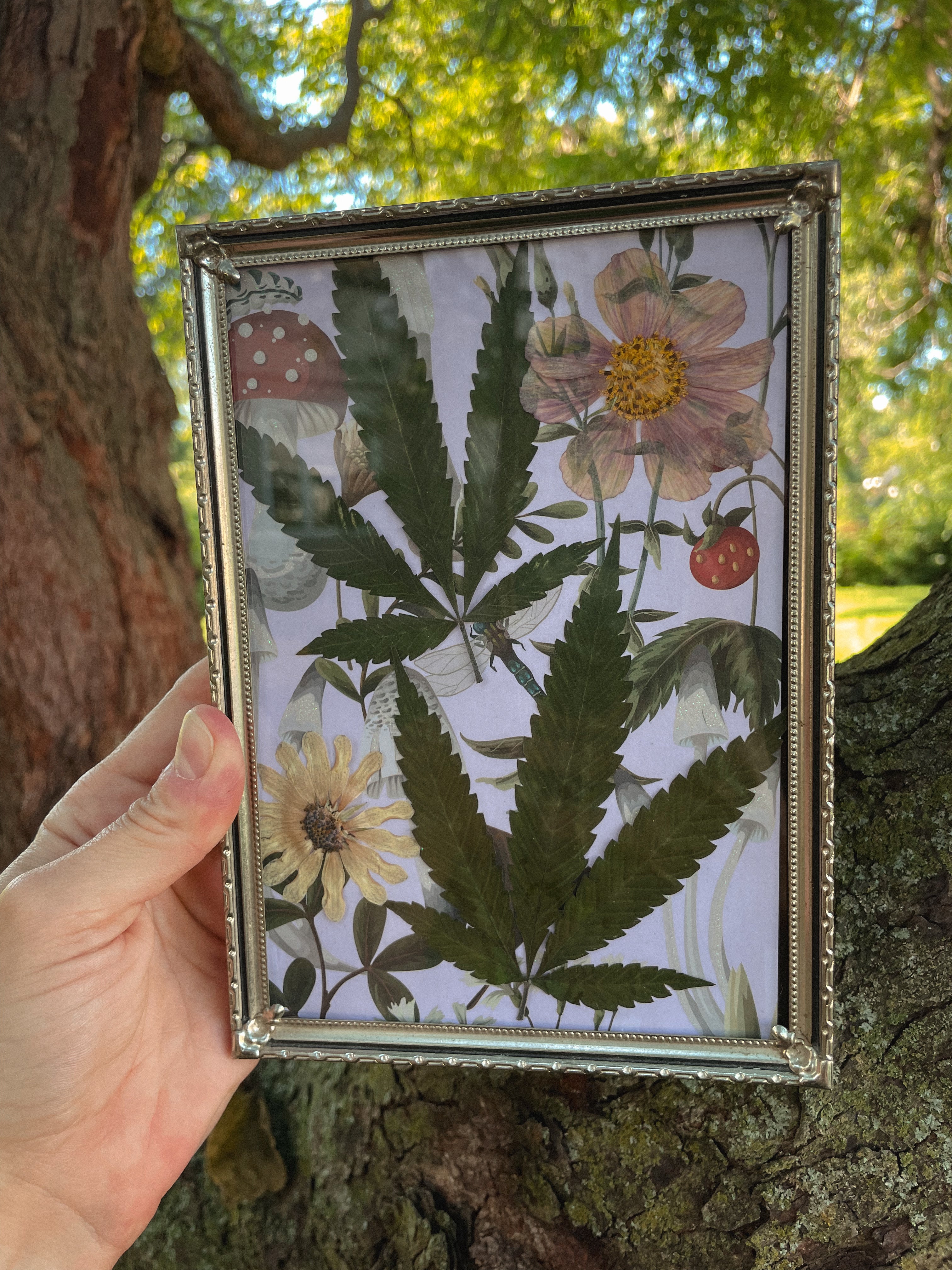 Woodland Whimsy🍄