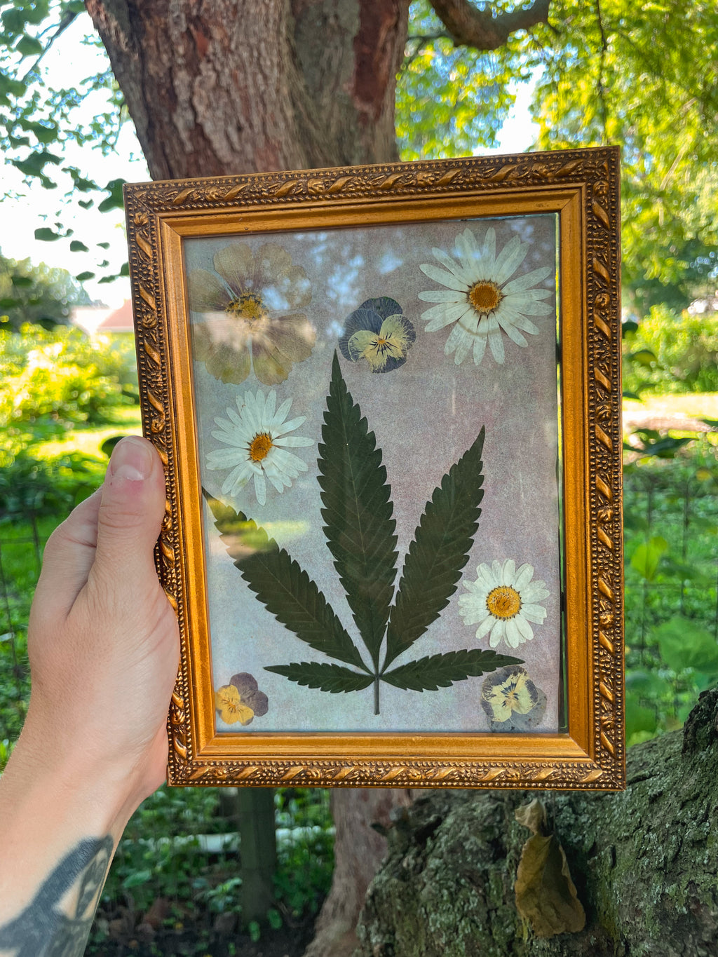 Meadow Offering 🌼