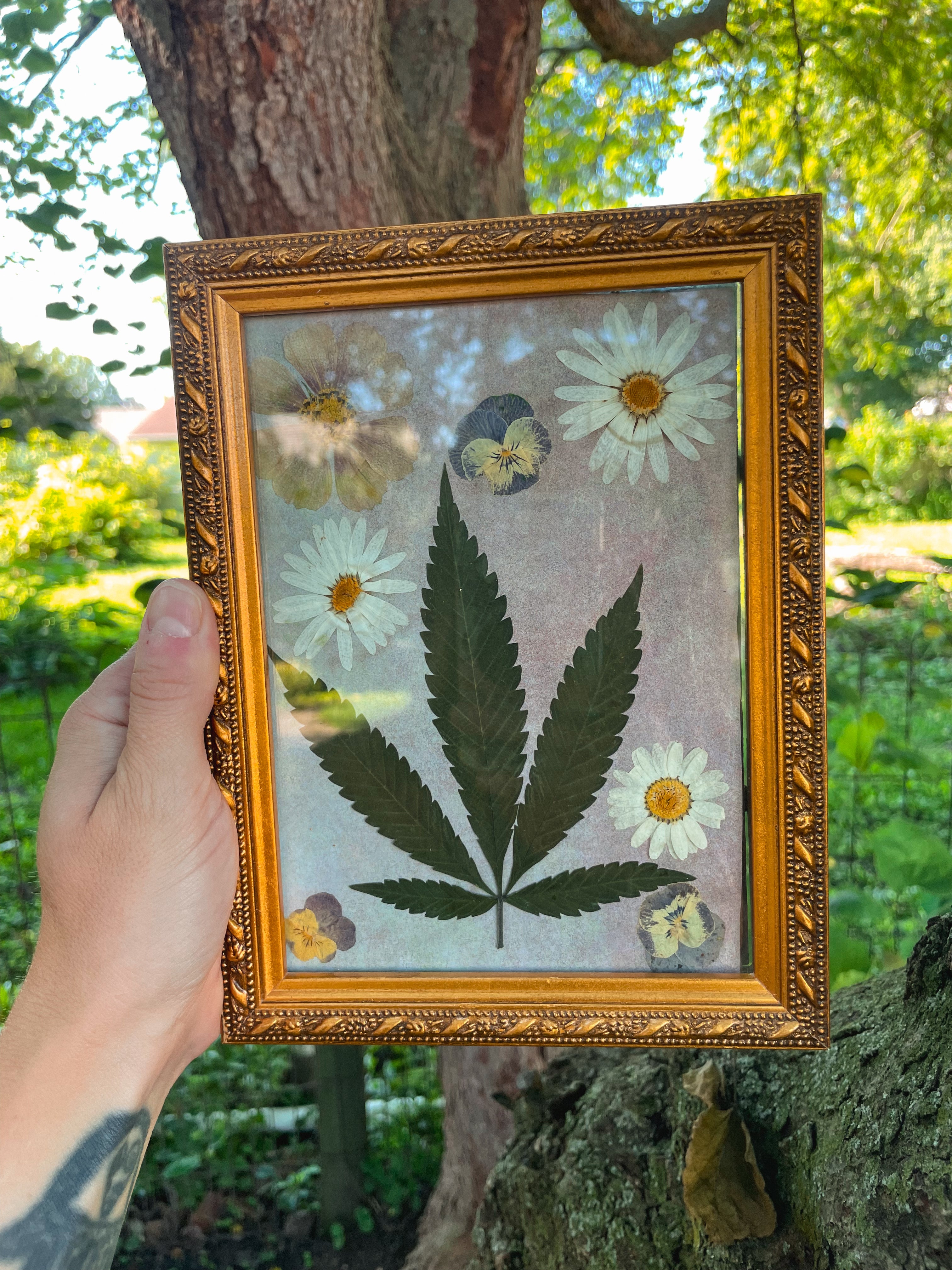 Meadow Offering 🌼