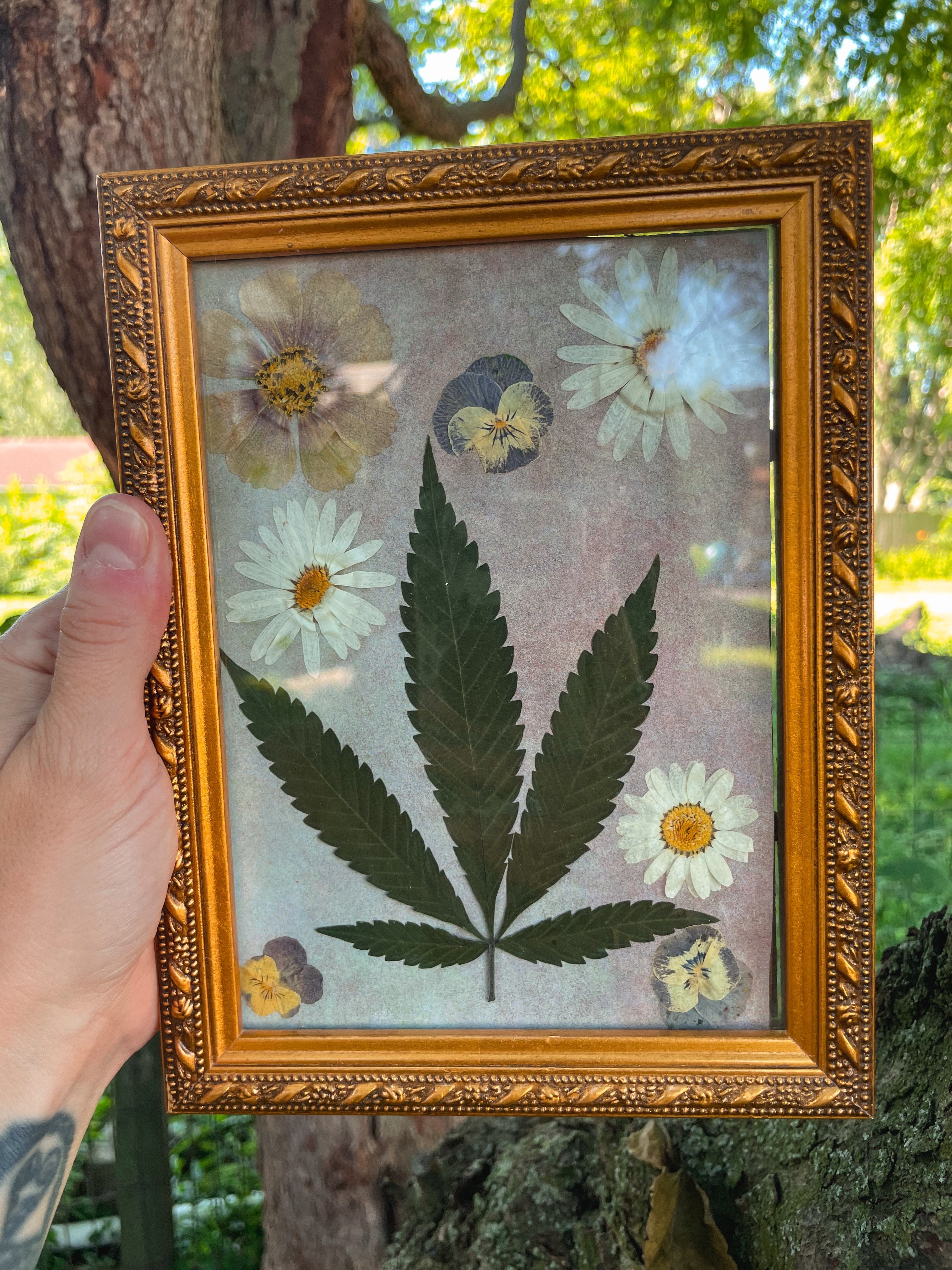 Meadow Offering 🌼