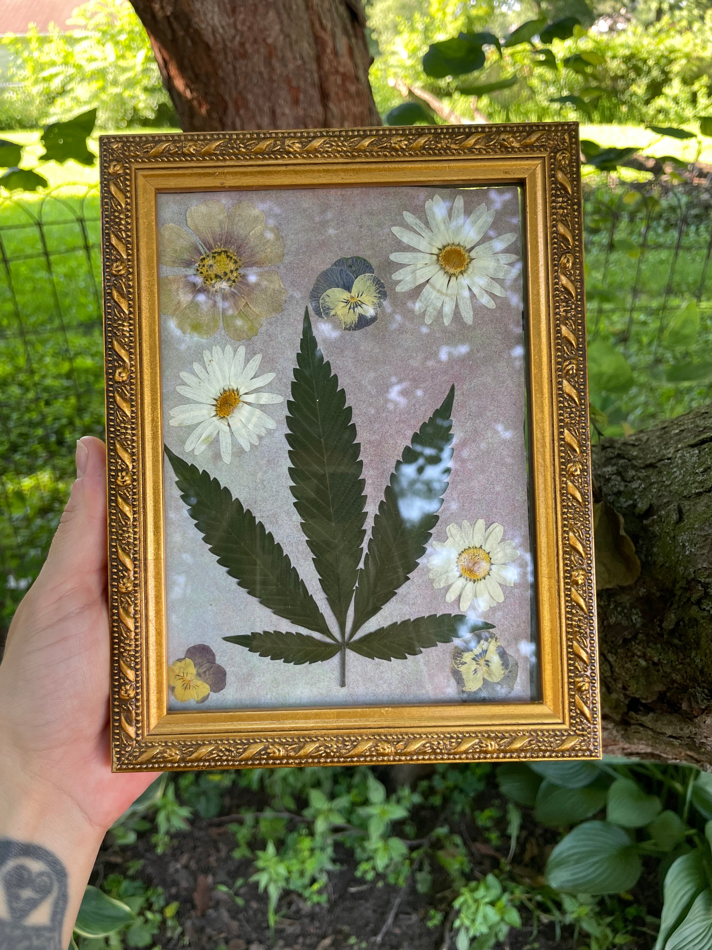 Meadow Offering 🌼
