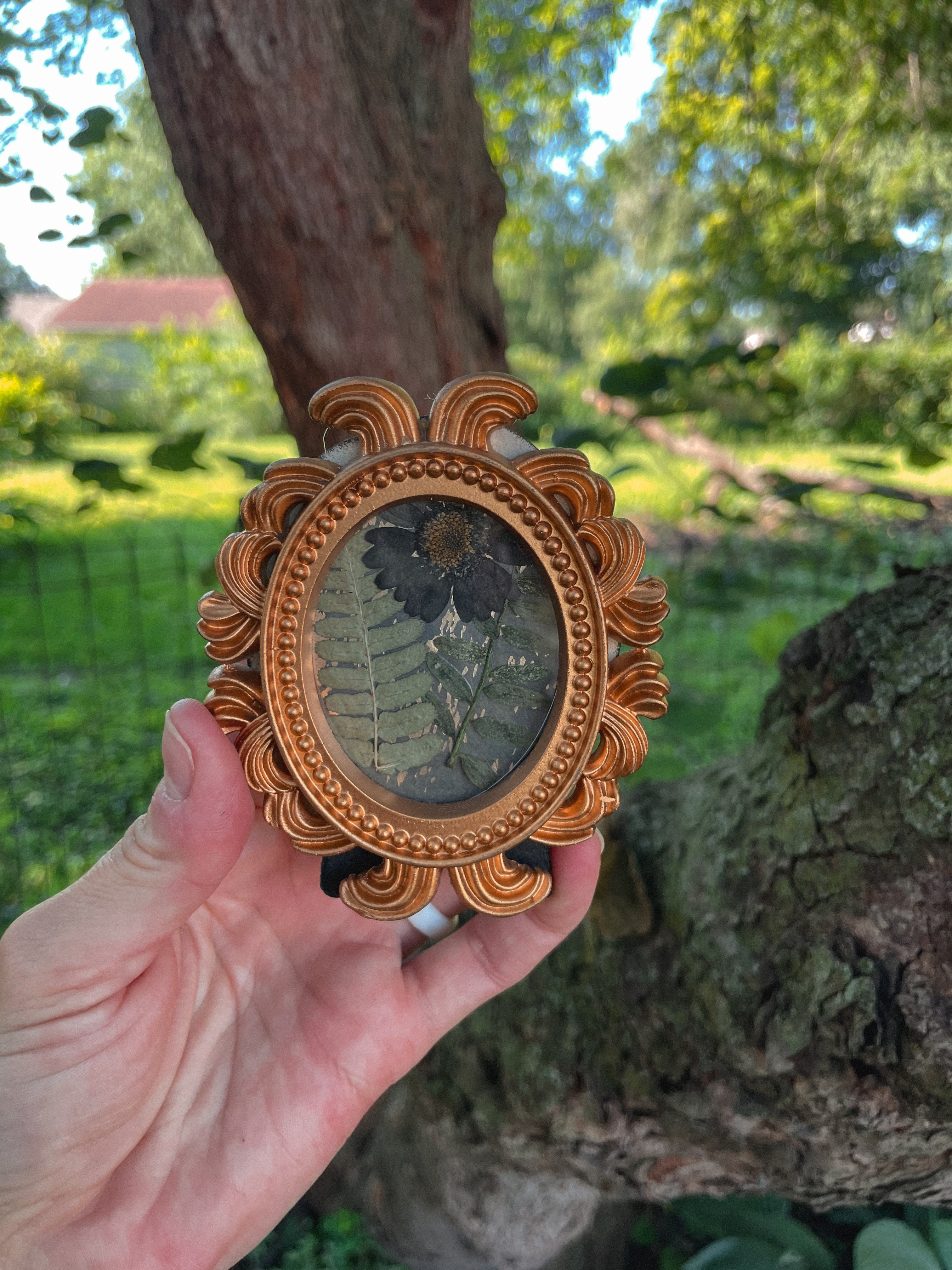 Black Bloom Reliquary 🌹