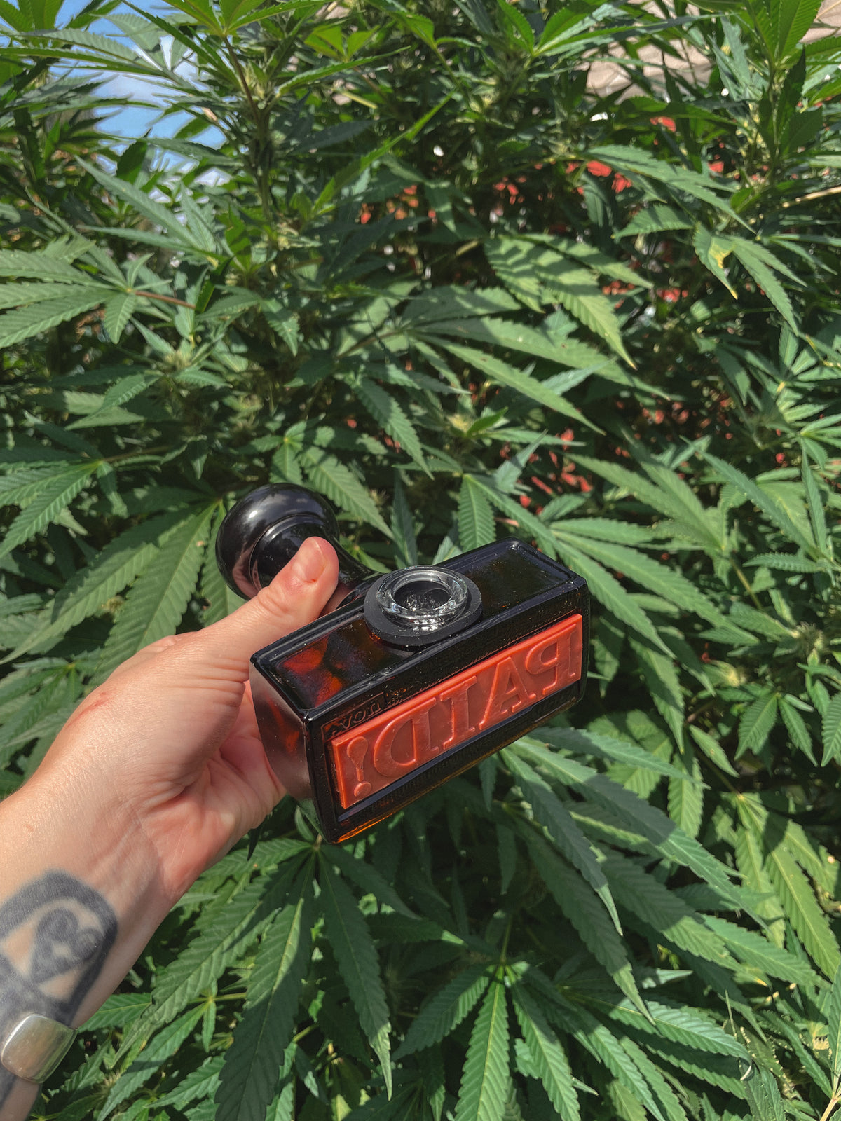 Stamped & Stoned