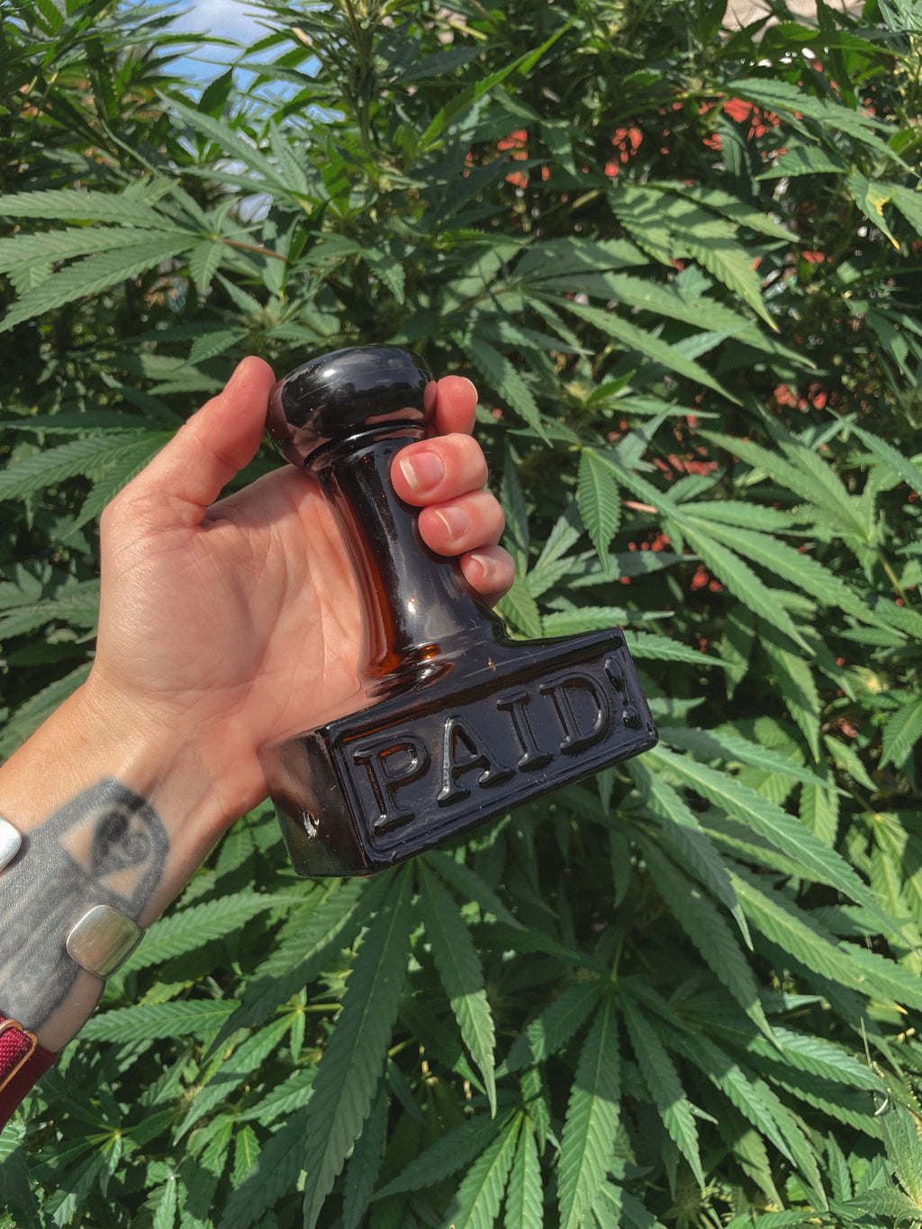 Stamped & Stoned