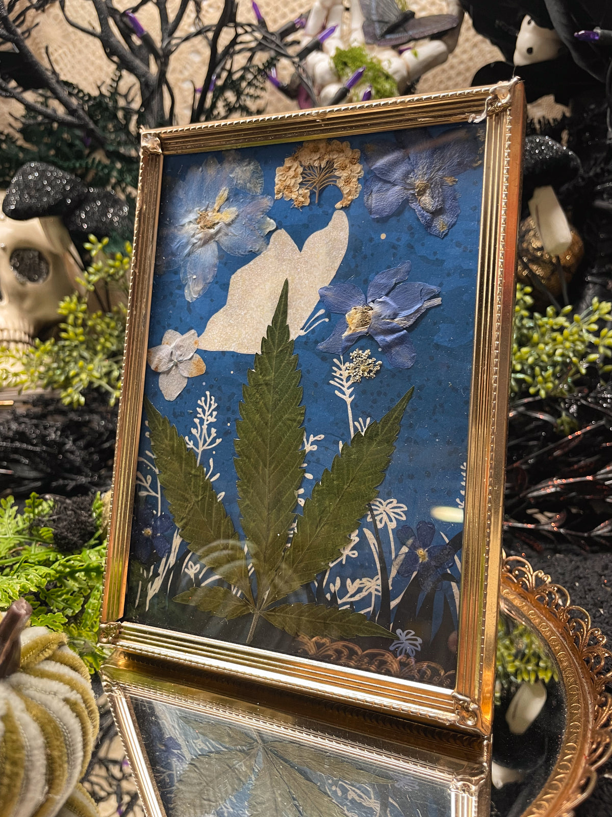 Night Garden