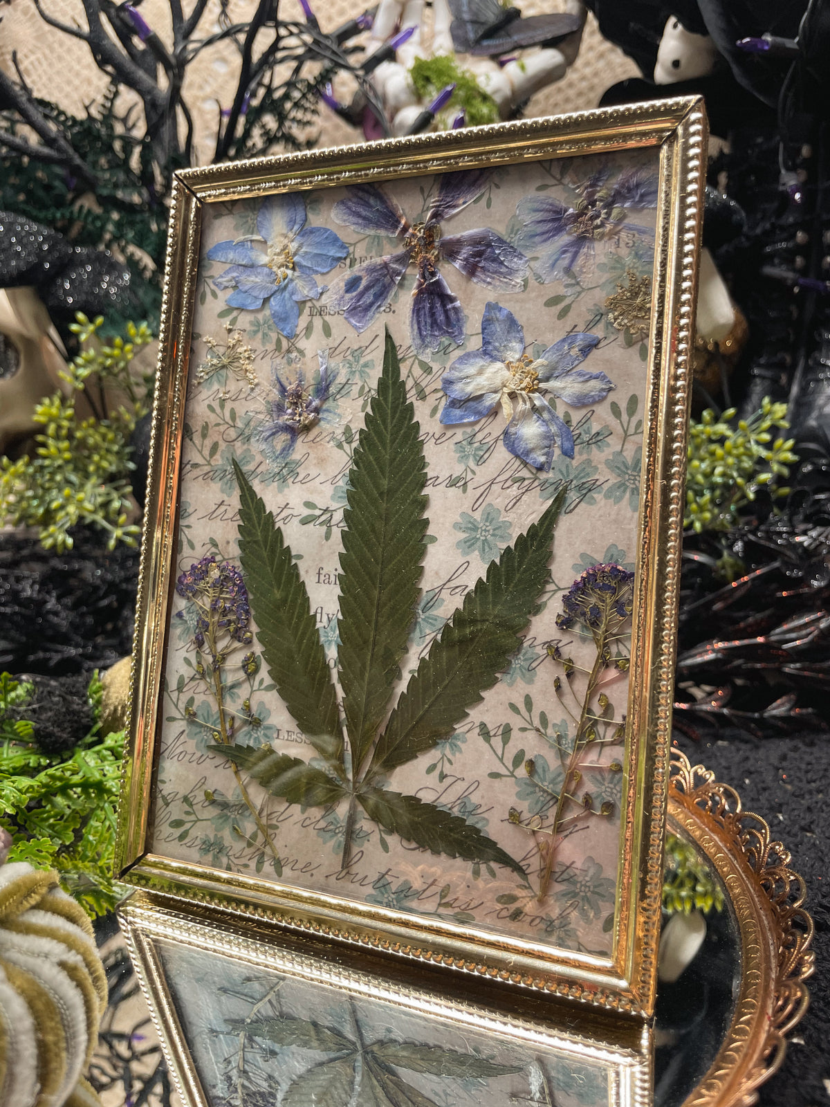The Herbalist