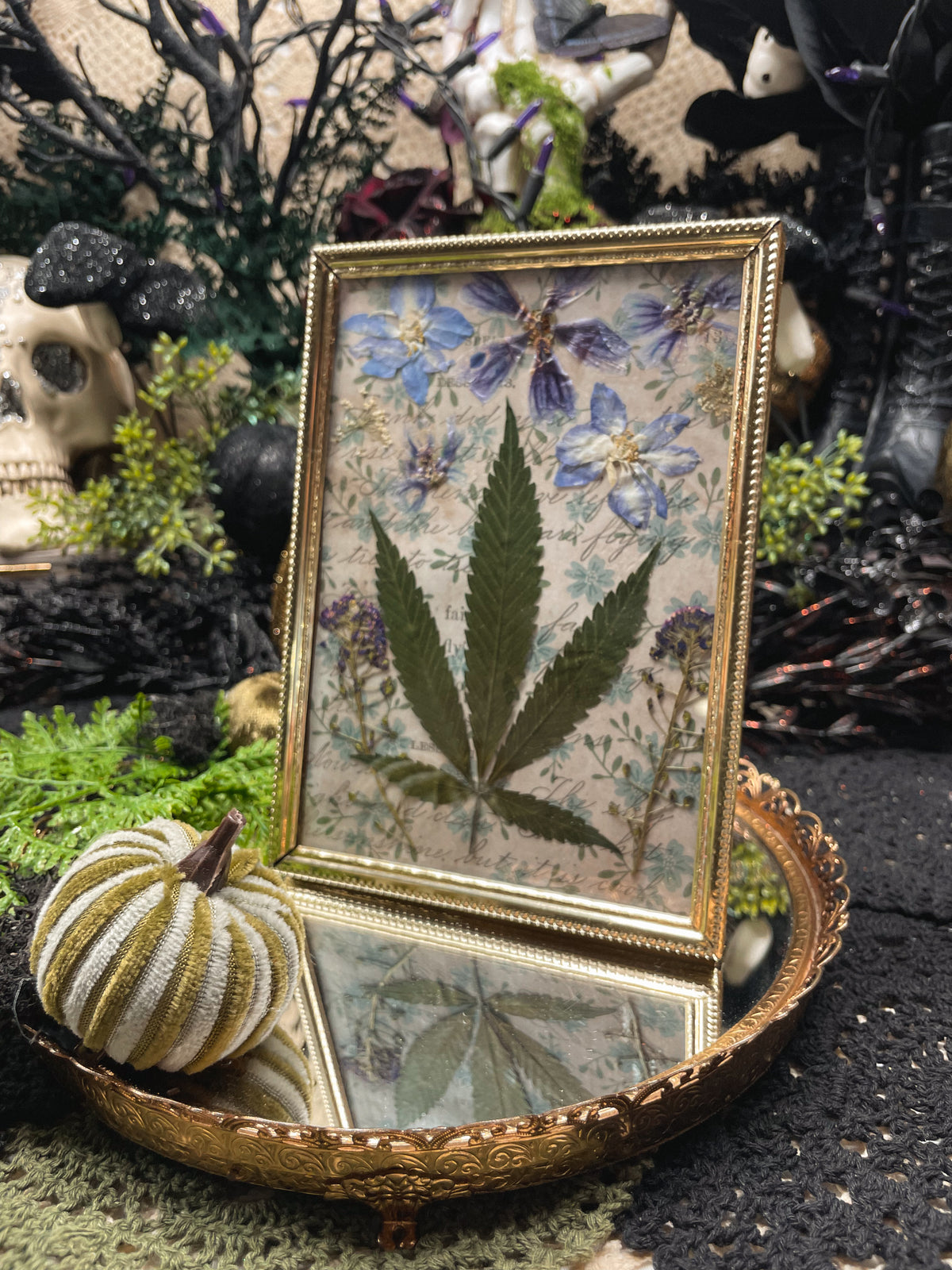 The Herbalist