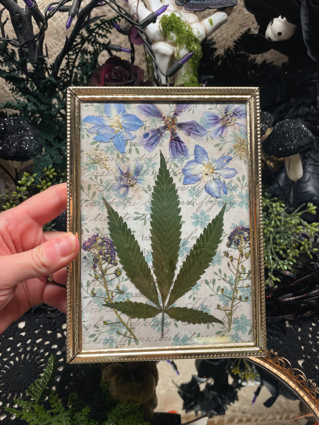 The Herbalist