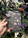 Night Garden