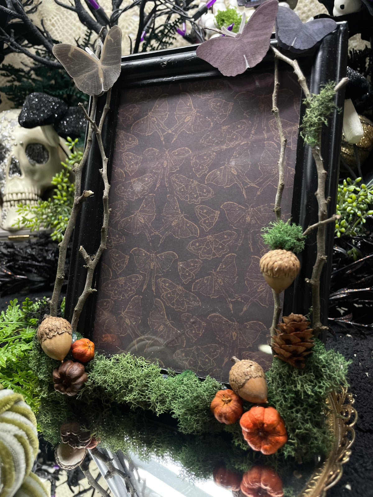 Under the Canopy